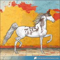 Horse Color:Silver Black Splash Tobiano Near Leopard Rabicano 