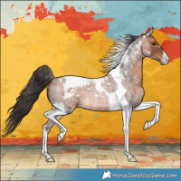 Horse Color:Bay Roan Tobiano Appaloosa Rabicano 