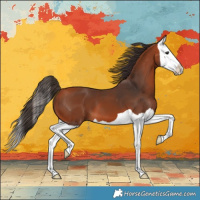 Horse Color:Bay Splash