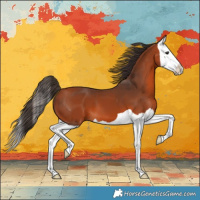 Horse Color:Bay Splash 