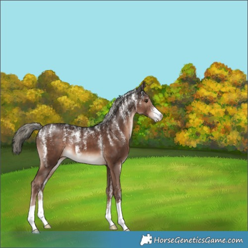 Horse Color:Powder White Liver Chestnut Mushroom 