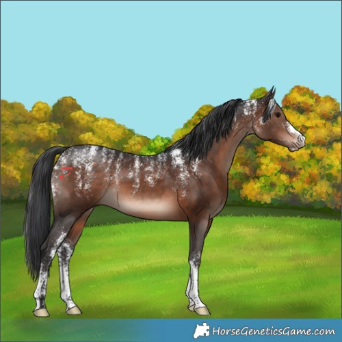 Horse Color:Powder White Brown Mushroom 