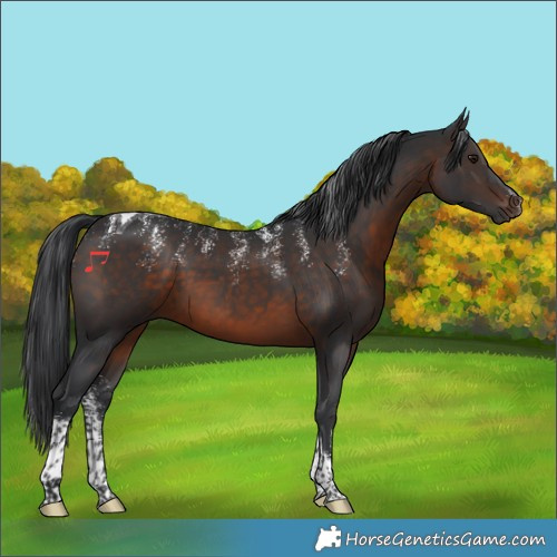 Horse Color:Powder White Brown Tobiano 