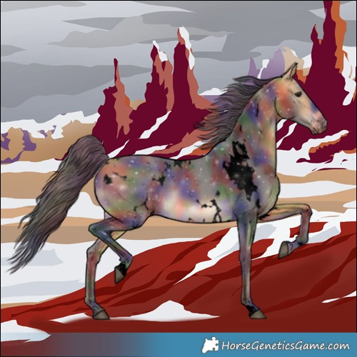 Horse Color:Void Nacre White Spotted Buckskin