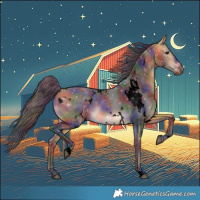 Horse Color:Void Nacre White Spotted Buckskin 