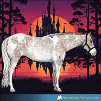 Horse Color:Silver Grullo Ice Sabino Tobiano Appaloosa 