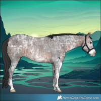 Horse Color:Brown Ice Sabino