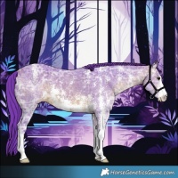 Horse Color:Watercolor Brown Ice Sabino