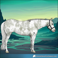 Horse Color:Watercolor White Spotted Silver Black Ice Sabino 