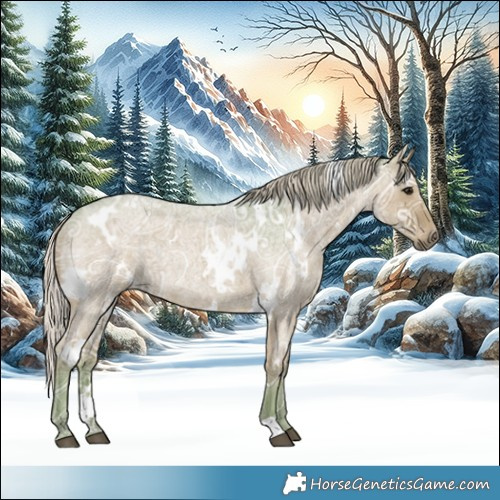Horse Color:Watercolor White Spotted Silver Blue Ice Roan Rabicano 