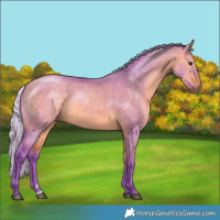 Horse Color:Watercolor Silver Bay Dun