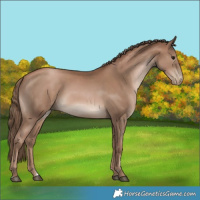 Horse Color:Black Pearl 
