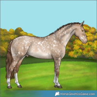 Horse Color:White Spotted Brown Pearl Dun Tobiano Appaloosa Rabicano