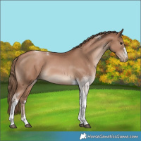 Horse Color:Black Pearl Tobiano 