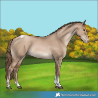 Horse Color:Grullo Pearl Tobiano 