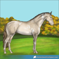 Horse Color:White Spotted Smoky Black Pearl 