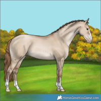 Horse Color:Grullo Pearl 