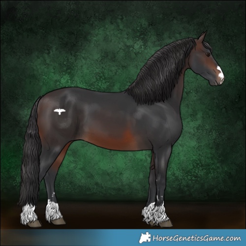 Horse Color:Brown 