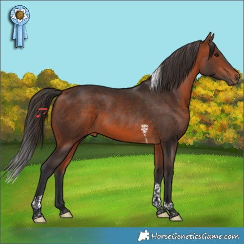 Horse Color:Bay Tobiano 