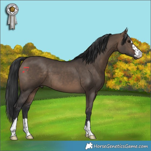 Horse Color:Brown Dun 