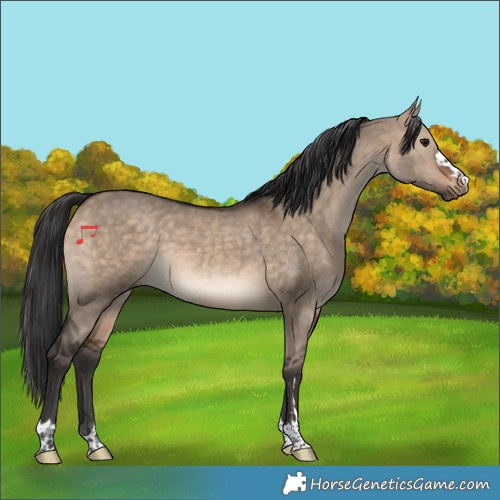 Horse Color:Brown Dun