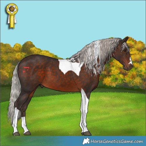 Horse Color:Silver Brown Tobiano 