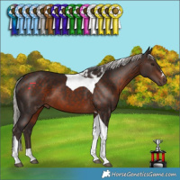 Horse Color:Silver Brown Tobiano 