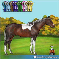 Horse Color:Silver Brown Tobiano 