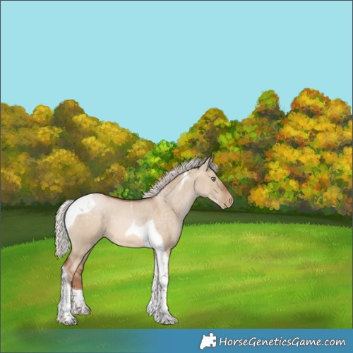 Horse Color:Silver Brown Pearl Dun Tobiano