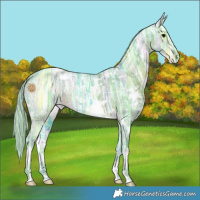 Horse Color:Watercolor White Spotted Silver Black Ice