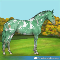 Horse Color:Watercolor White Spotted Liver Chestnut Varnish
