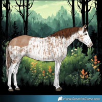 Horse Color:Red Dun Splash  and Red Dun Splash Rabicano 