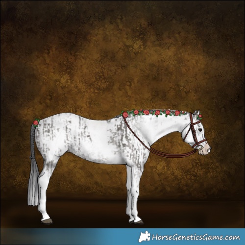 Horse Color:White Spotted Grullo Rabicano  and White Spotted Grullo Rabicano 