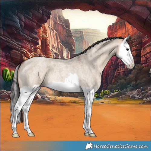 Horse Color:Bay Roan Dun Splash 