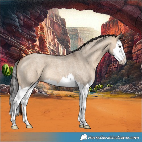 Horse Color:Bay Roan Dun Splash 