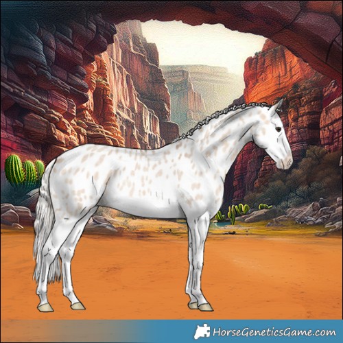 Horse Color:Silver Brown Ice Roan Dun Splash Appaloosa 