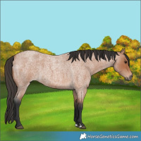 Horse Color:Bay Roan
