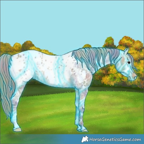Horse Color:Nacre Thunderstruck Buckskin Ice Appaloosa