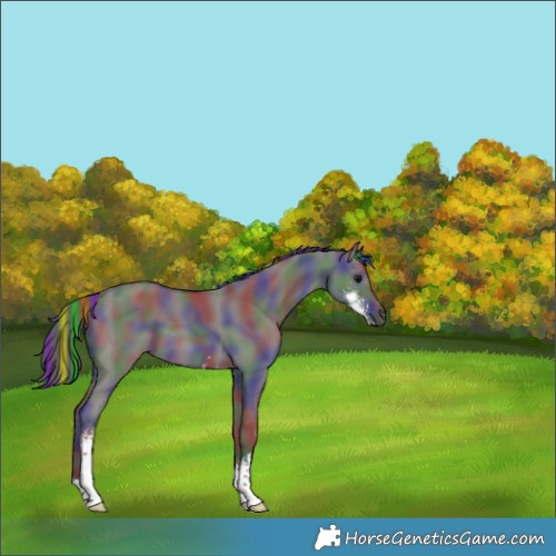Horse Color:Painted Nacre Grullo Sabino