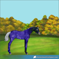 Horse Color:ERROR: UNKNOWN ANOMALY