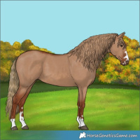 Horse Color:Red Dun 
