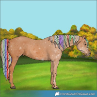 Horse Color:Painted Chestnut 