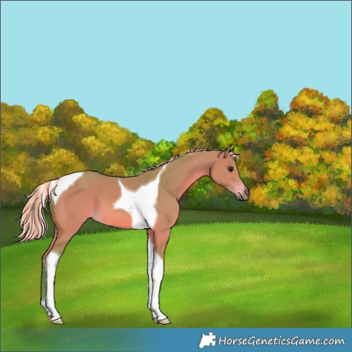 Horse Color:Painted Watercolor Silver Bay Tobiano 