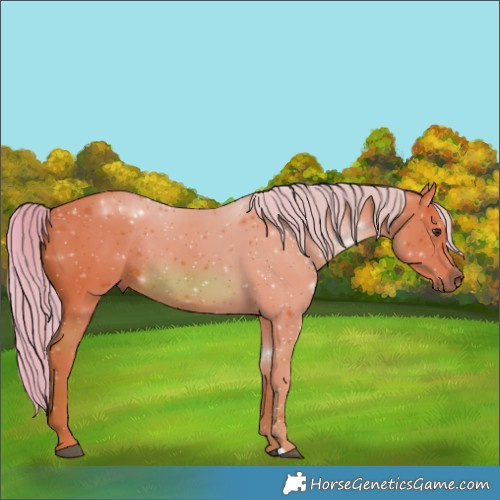 Horse Color:Watercolor Chestnut Rabicano 