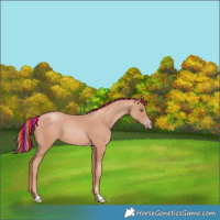 Horse Color:Painted Gold Champagne 