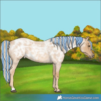 Horse Color:Painted Palomino Ice Roan