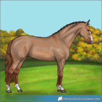 Horse Color:Red Dun 