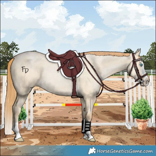 Horse Color:Buckskin Pearl Dun Splash 