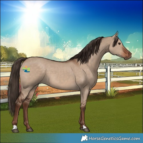Horse Color:Liver Red Dun 