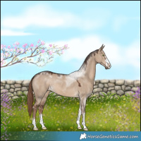 Horse Color:Liver Red Dun 